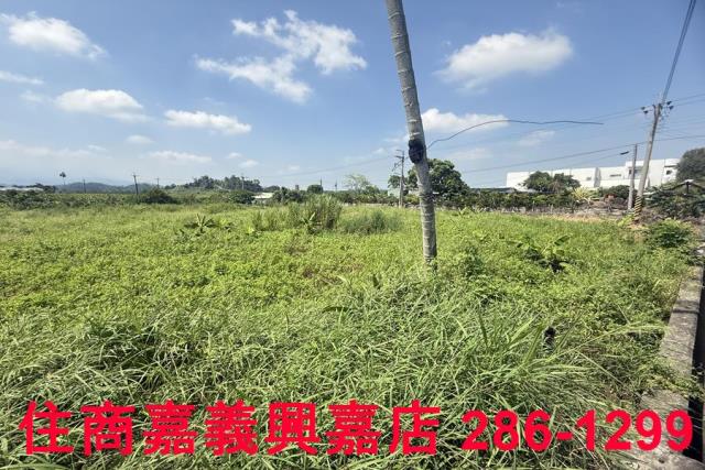 中埔農地-7