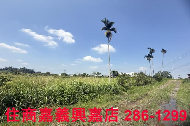 中埔農地-8