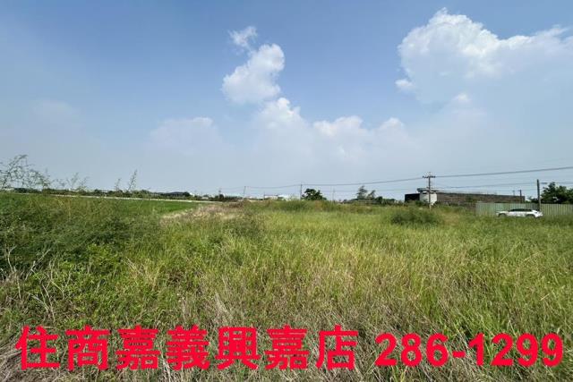 嘉義農地-5