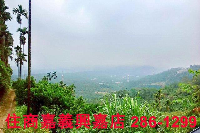 番路農地-9