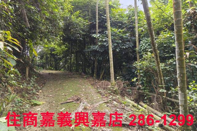 番路農地-0