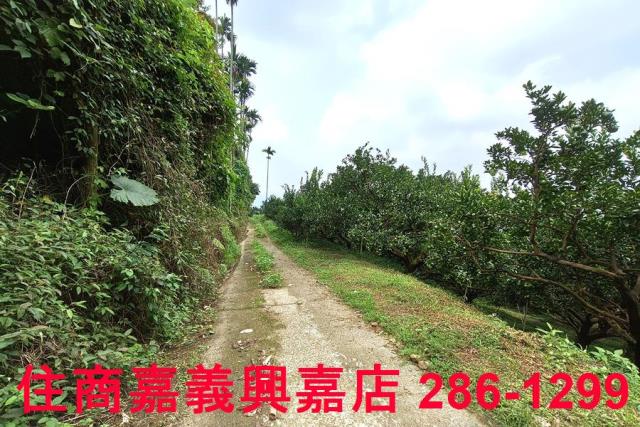 番路農地-1
