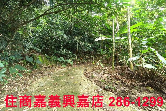 番路農地-2