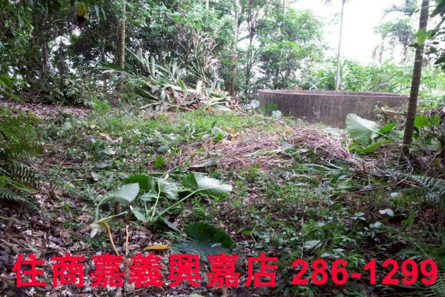 番路農地-3