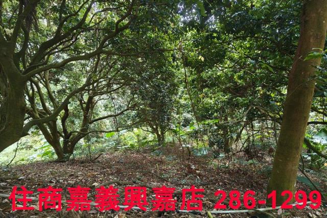 番路農地-4