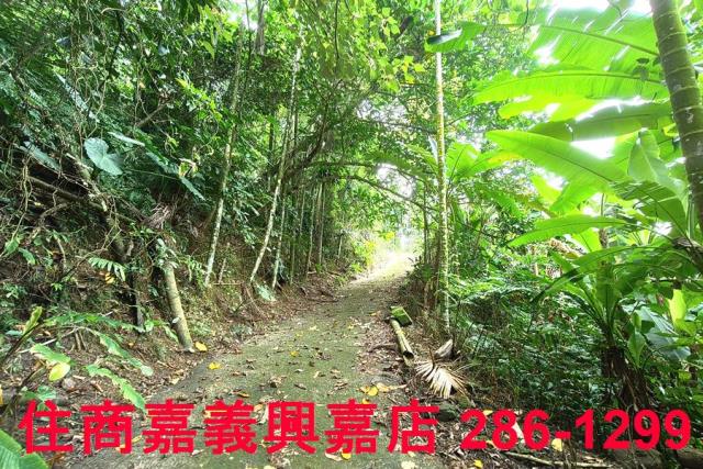 番路農地-5