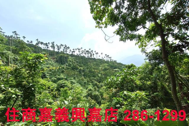番路農地-6
