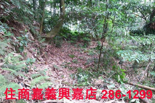 番路農地-7