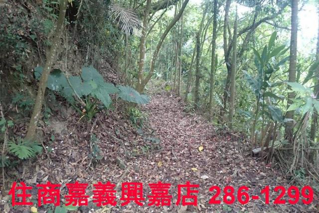 番路農地-8