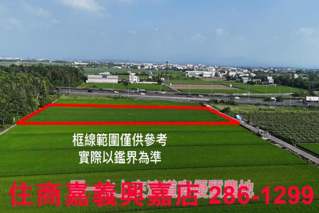 水上農地-0