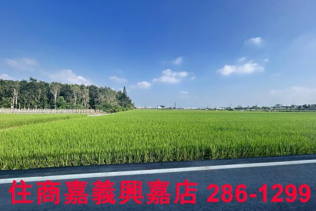 水上農地-1