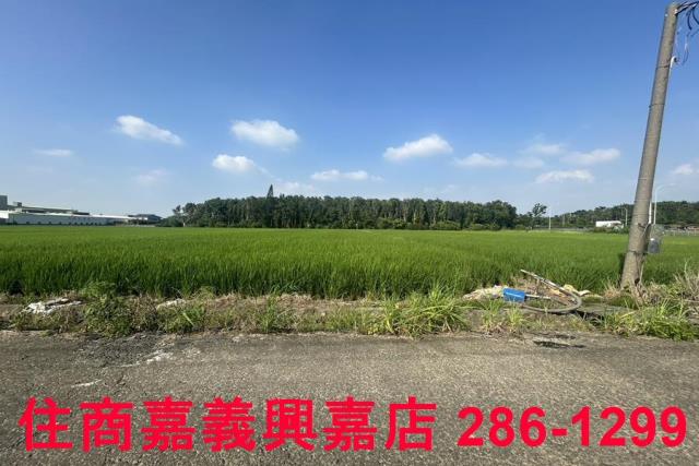 水上農地-3