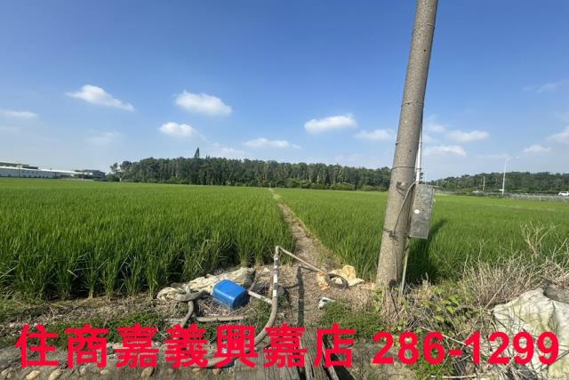 水上農地-4