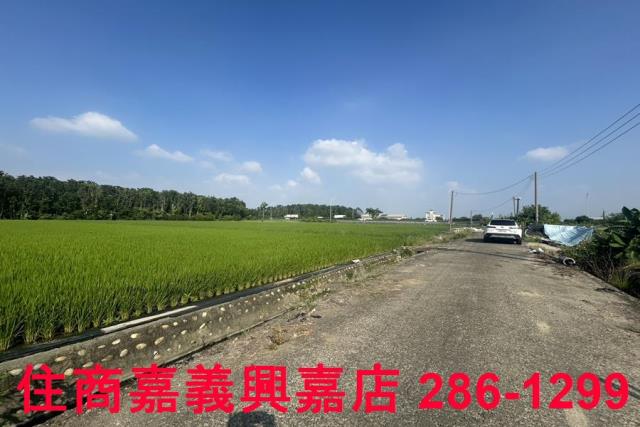 水上農地-5