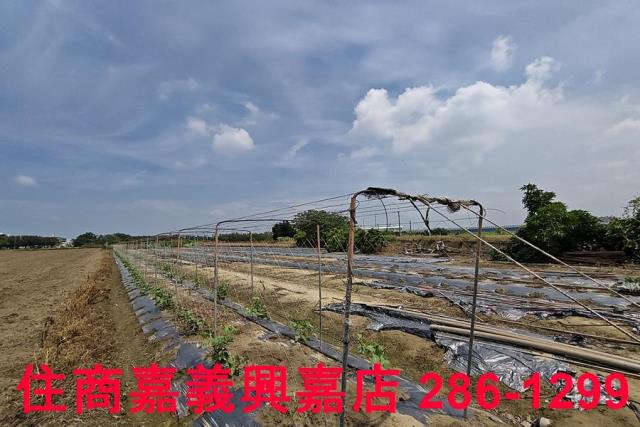 嘉義農地-7