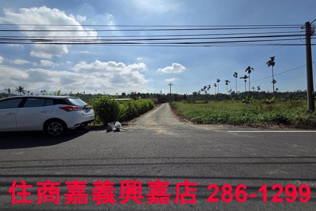 嘉義水上農地-1