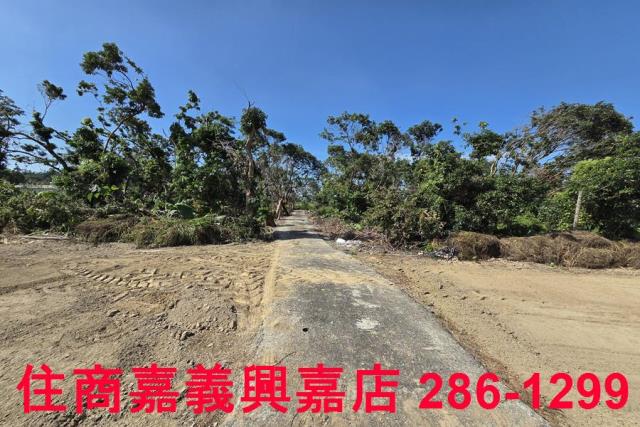 嘉義水上農地-2