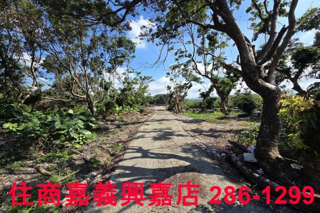 嘉義水上農地-5