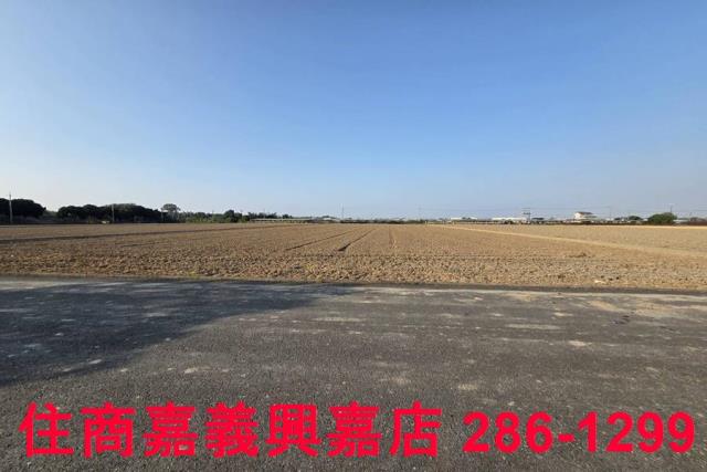 大林農地-10