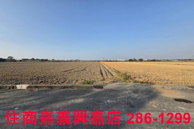 大林農地-0