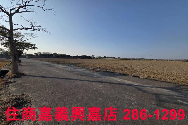 大林農地-2