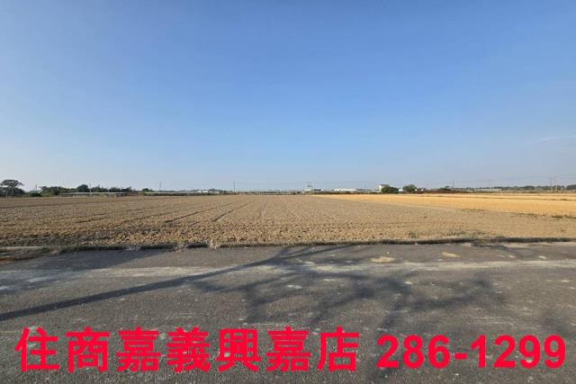 大林農地-3