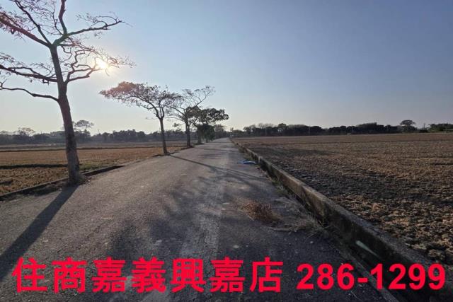 大林農地-6