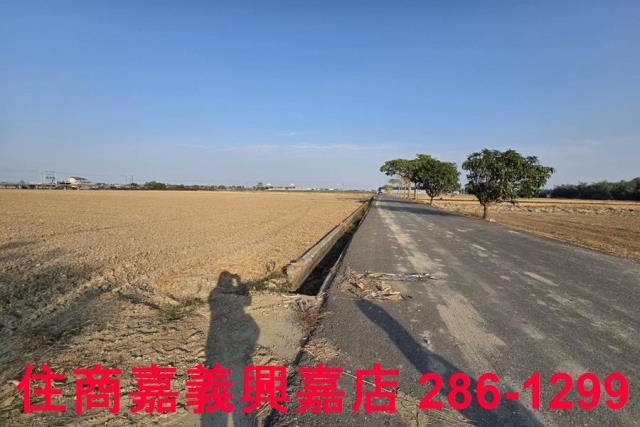 大林農地-0