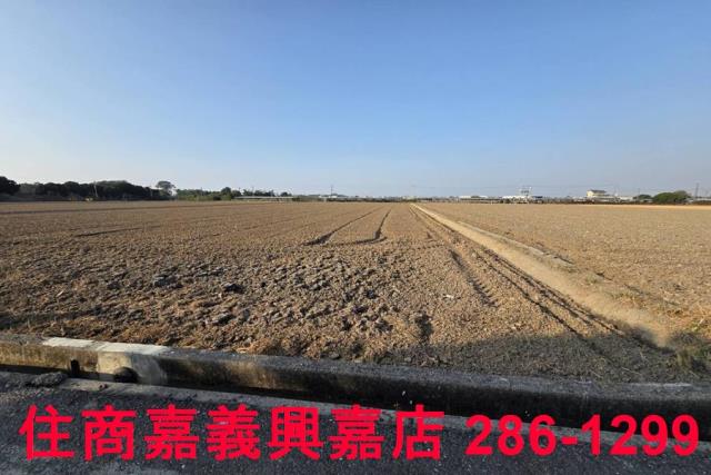 大林農地-2