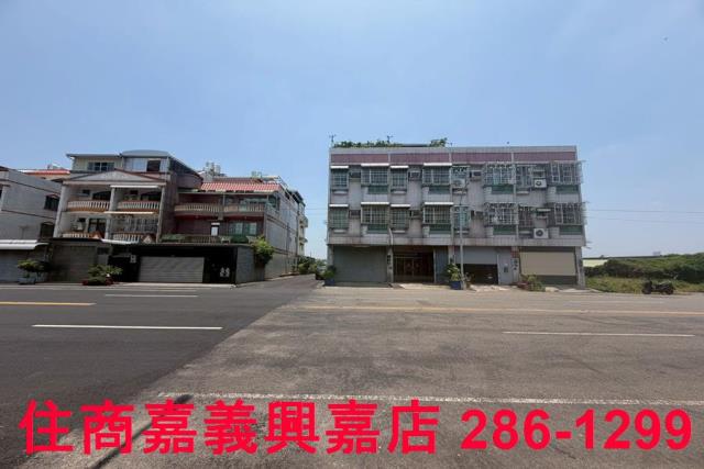 嘉義農地-10