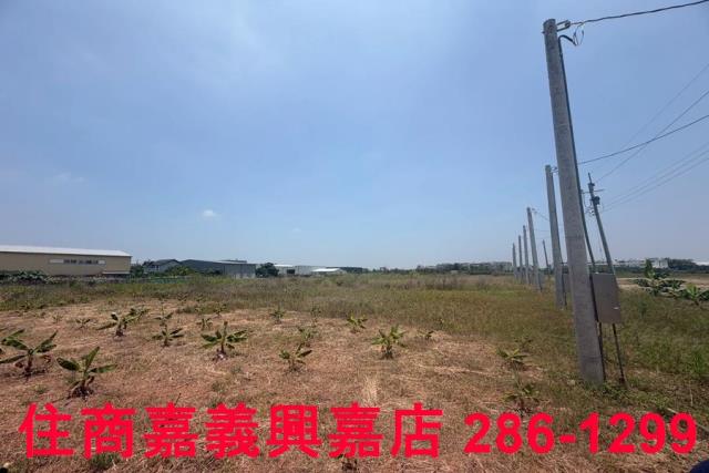 嘉義農地-4