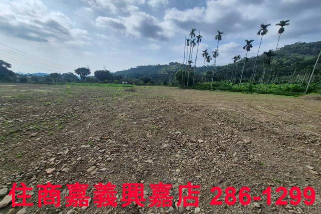 番路農地-10
