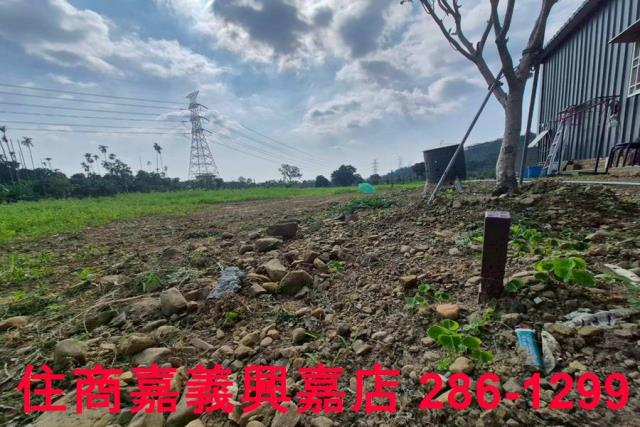 番路農地-4