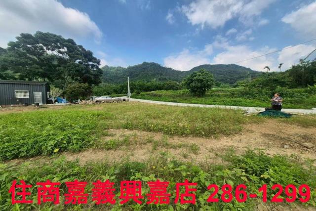 嘉義番路農地-6