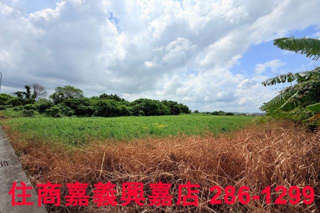 嘉義農地-5