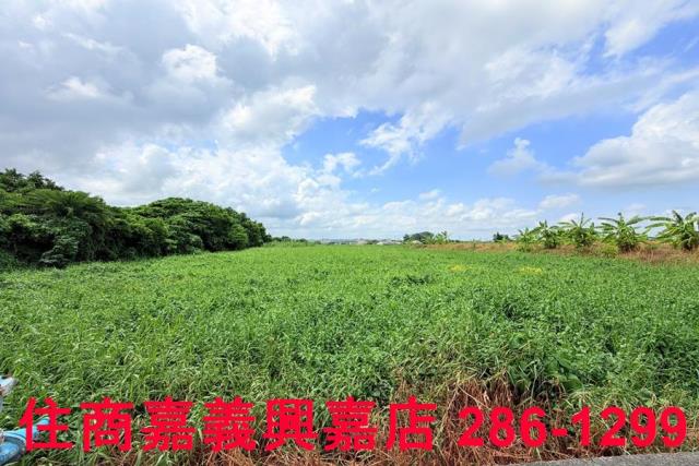 嘉義農地-6