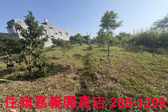 嘉義農地-0