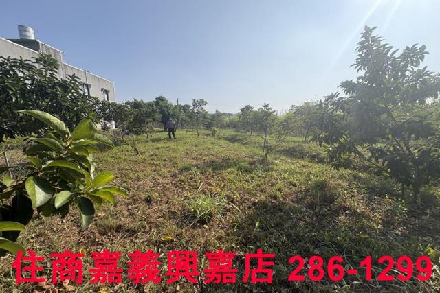 嘉義農地-1