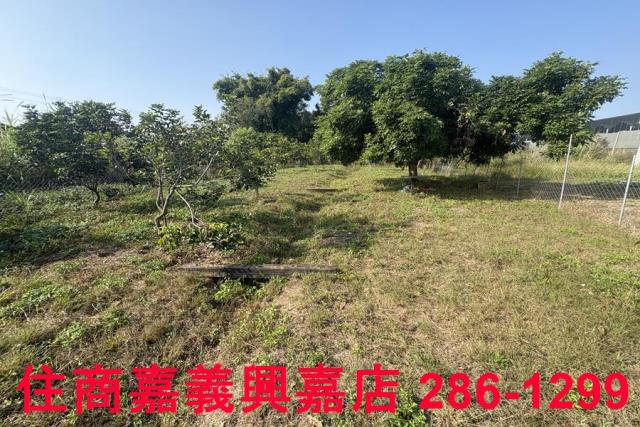嘉義農地-2