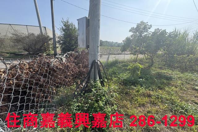 嘉義農地-3