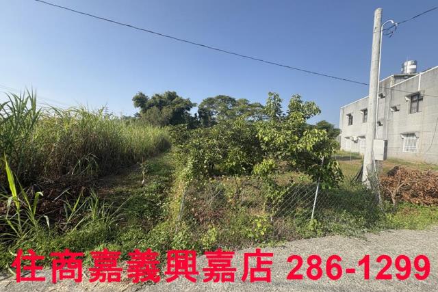 嘉義農地-5