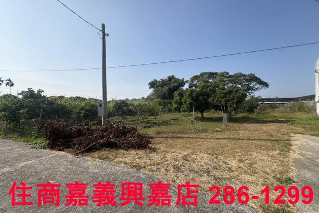 嘉義農地-6
