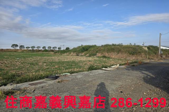 嘉義農地-0