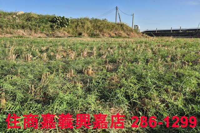 嘉義農地-5