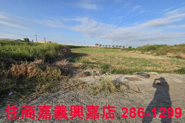 嘉義農地-7