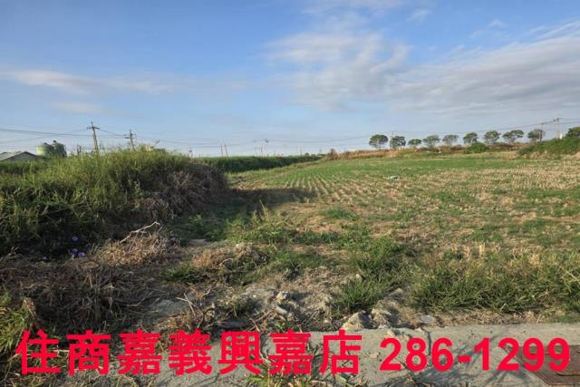 嘉義農地-8