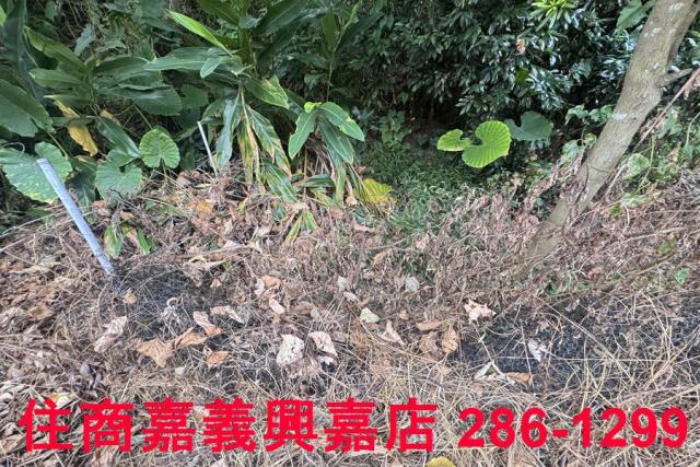 嘉義番路農地-9