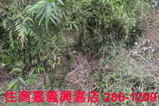 嘉義番路農地-10
