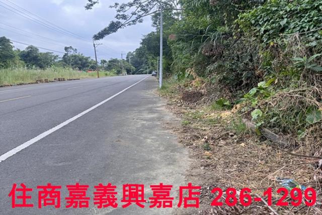 嘉義番路農地-0