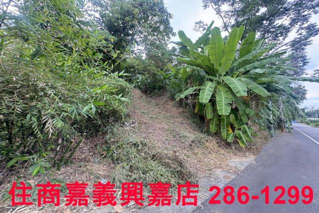 嘉義番路農地-1